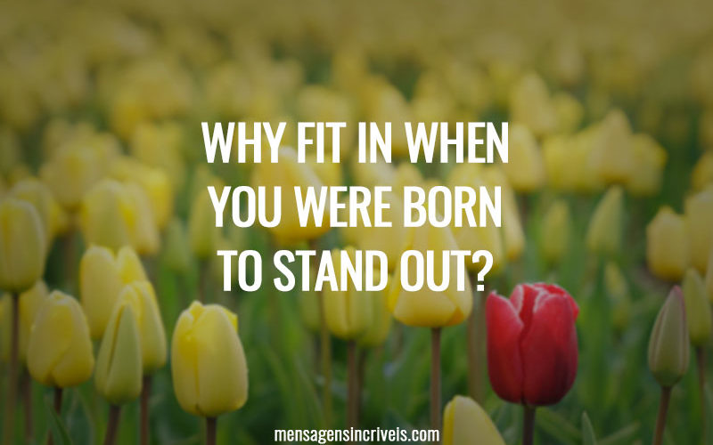 Why fit in when you were born to stand out?
