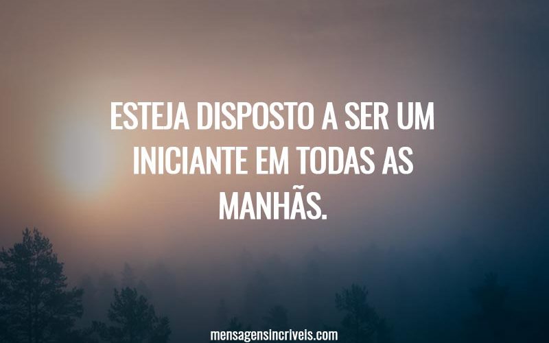 Esteja disposto a ser um iniciante em todas as manhãs.