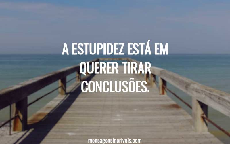 A estupidez está em querer tirar conclusões.