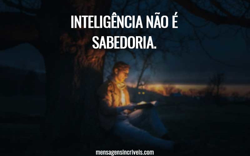 Inteligência não é sabedoria.