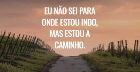 Eu não sei para onde estou indo, mas estou a caminho.