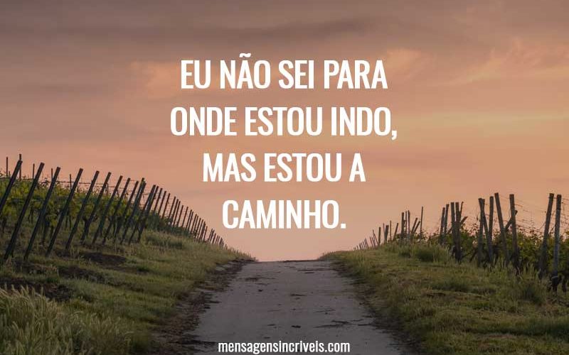 Eu não sei para onde estou indo, mas estou a caminho.