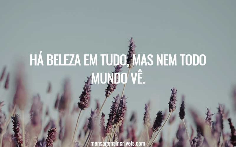 Há beleza em tudo, mas nem todo mundo vê.