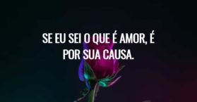 Se eu sei o que é amor, é por sua causa.