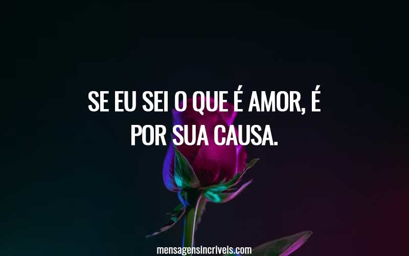 Se eu sei o que é amor, é por sua causa.