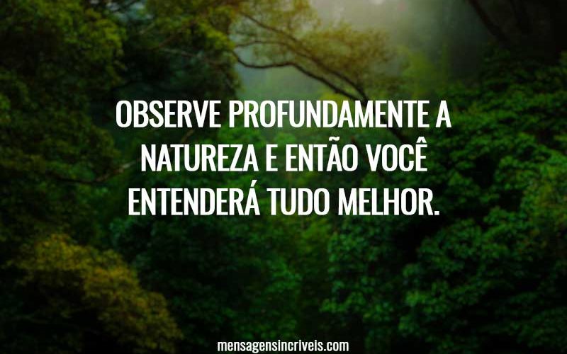 Observe profundamente a natureza e então você entenderá tudo melhor.