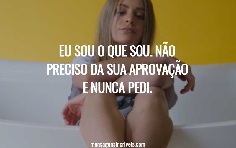 Eu sou o que sou. Não preciso da sua aprovação e nunca pedi.