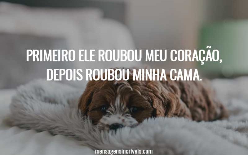 Primeiro ele roubou meu coração, depois roubou minha cama.