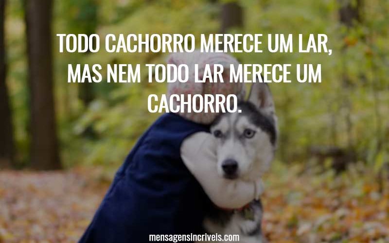 Todo cachorro merece um lar, mas nem todo lar merece um cachorro.