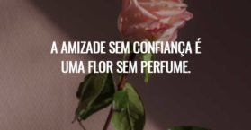A amizade sem confiança