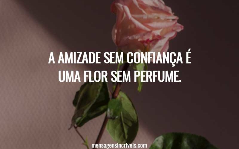A amizade sem confiança