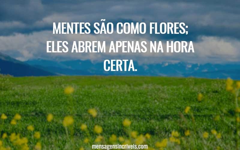 Mente são como flores
