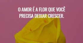 O amor é a flor que você precisa deixar crescer.