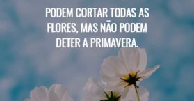 Podem cortar todas as flores, mas não podem deter a primavera.