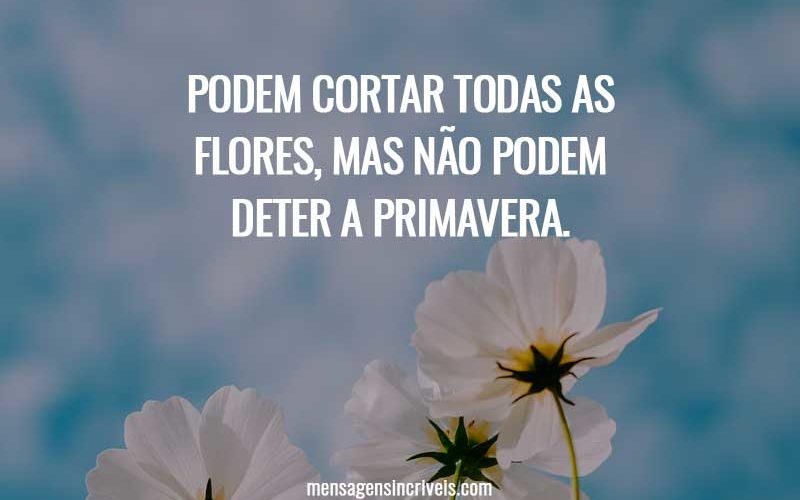 Podem cortar todas as flores, mas não podem deter a primavera.