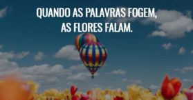 Quando as palavras fogem, as flores falam.
